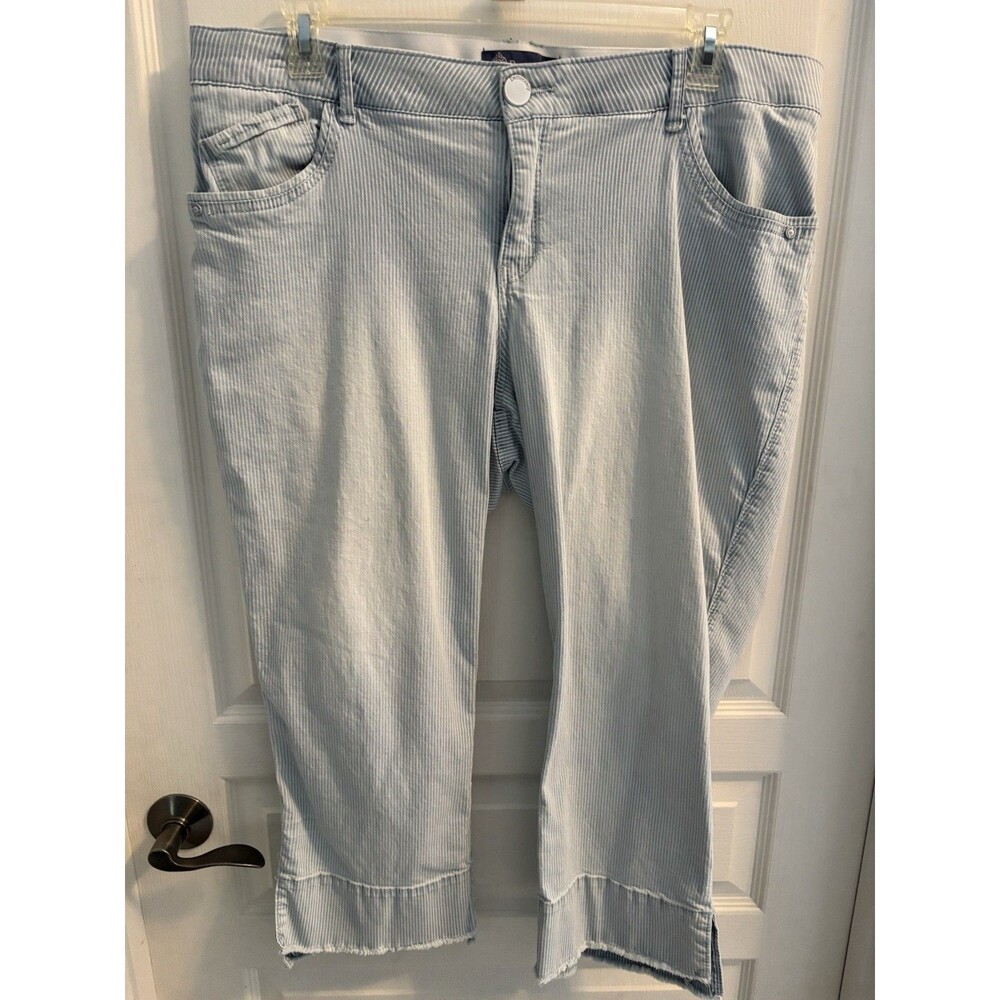 Democracy Blue & White Striped Wide Leg Capris 20W